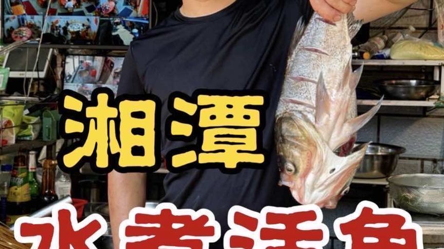 湖南湘潭师傅水煮活鱼，70元一条花鲢鱼，自称湖南做鱼天下第一
