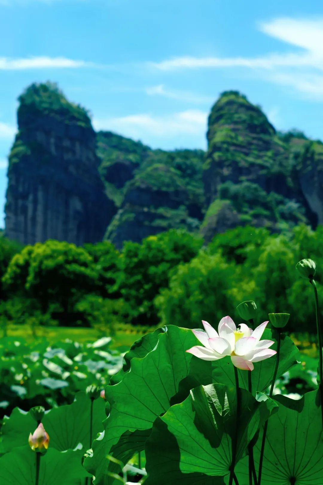 图片来源：江西龙虎山景区