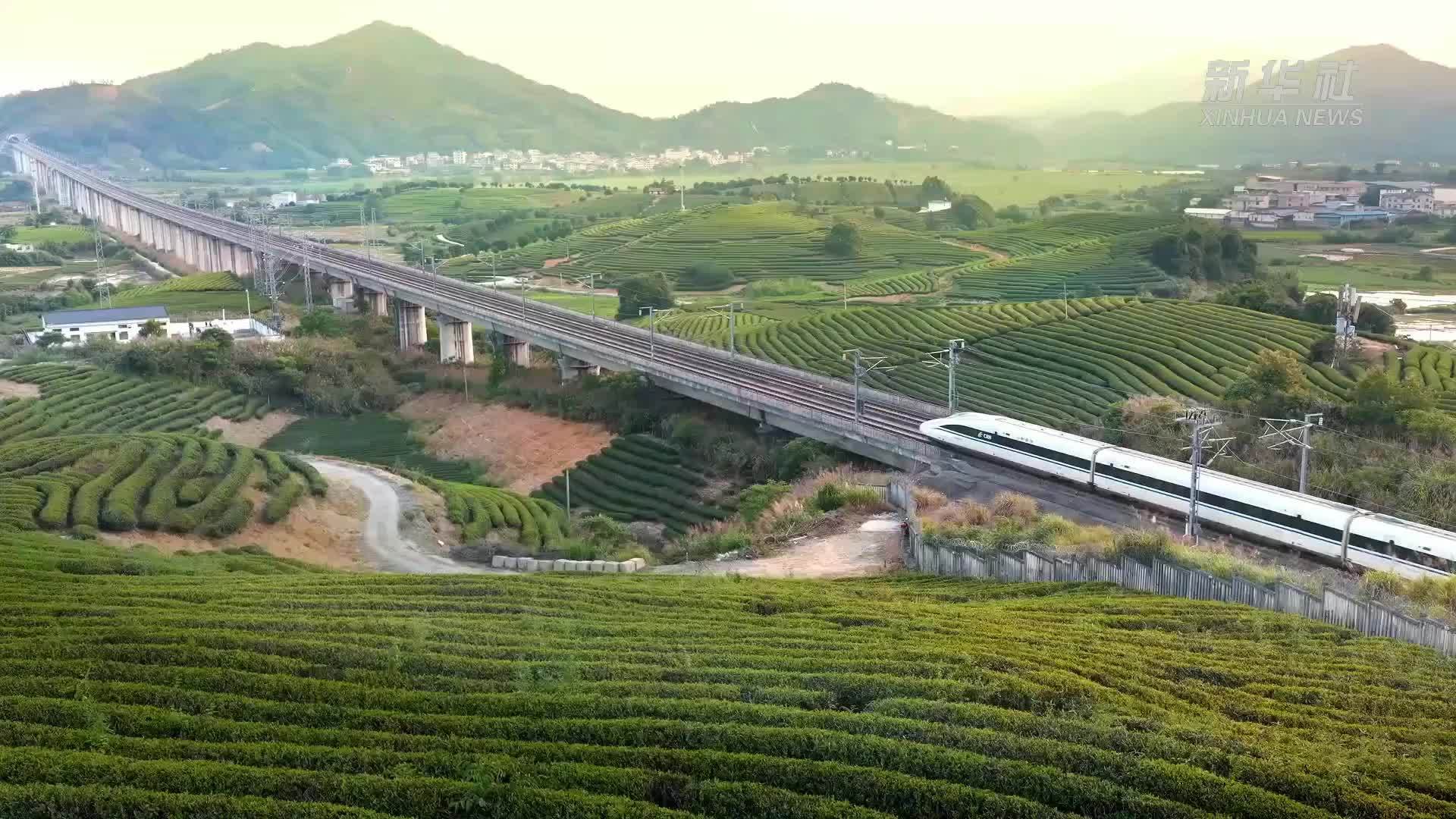 合福高铁十周年：高铁铺就康庄大道