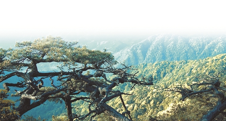 軍峰山景色如畫。