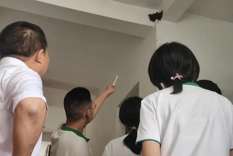 微信图片_20250627190147.webp
