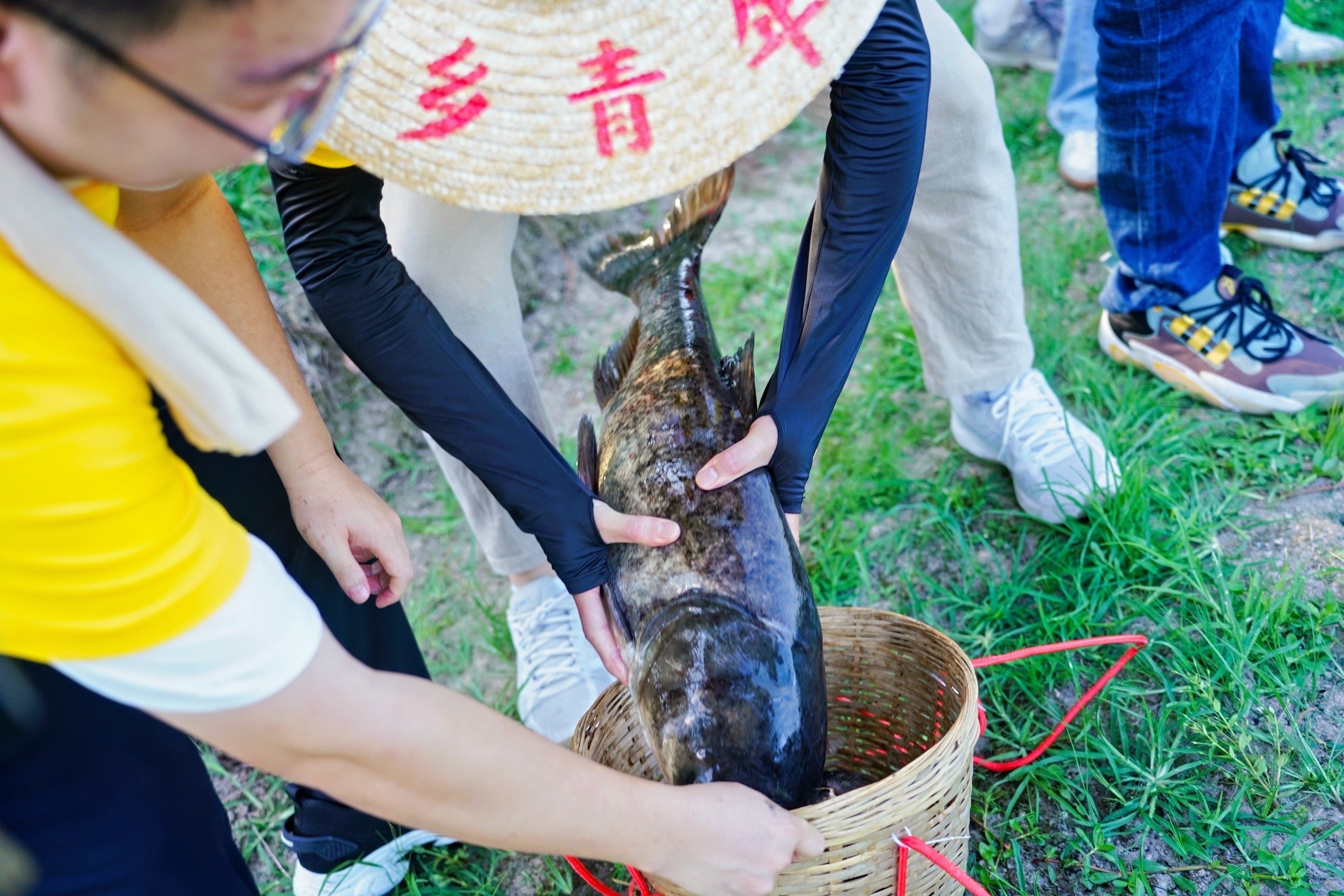 奉化：“纳凉朋友圈”激活农文旅共富新动能