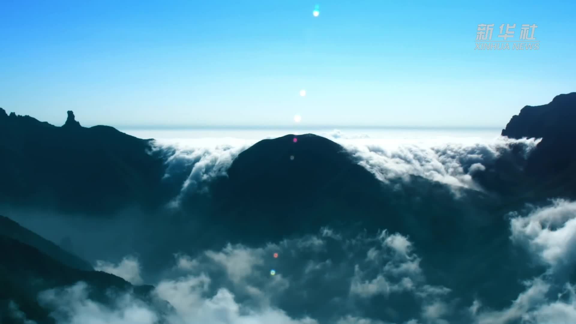 翠竹为笔 绿能作砚 石上开花——多维视角下的贵州生态文明新图景