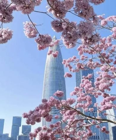 “湾区光影·双城故事”微短剧剧本大赛启动!深南携手江门征集百部“双城故事”
