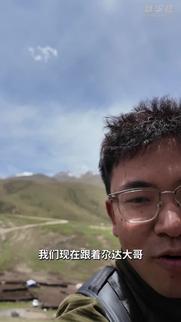 秀我中国｜海拔5000米：一根虫草采挖背后的故事