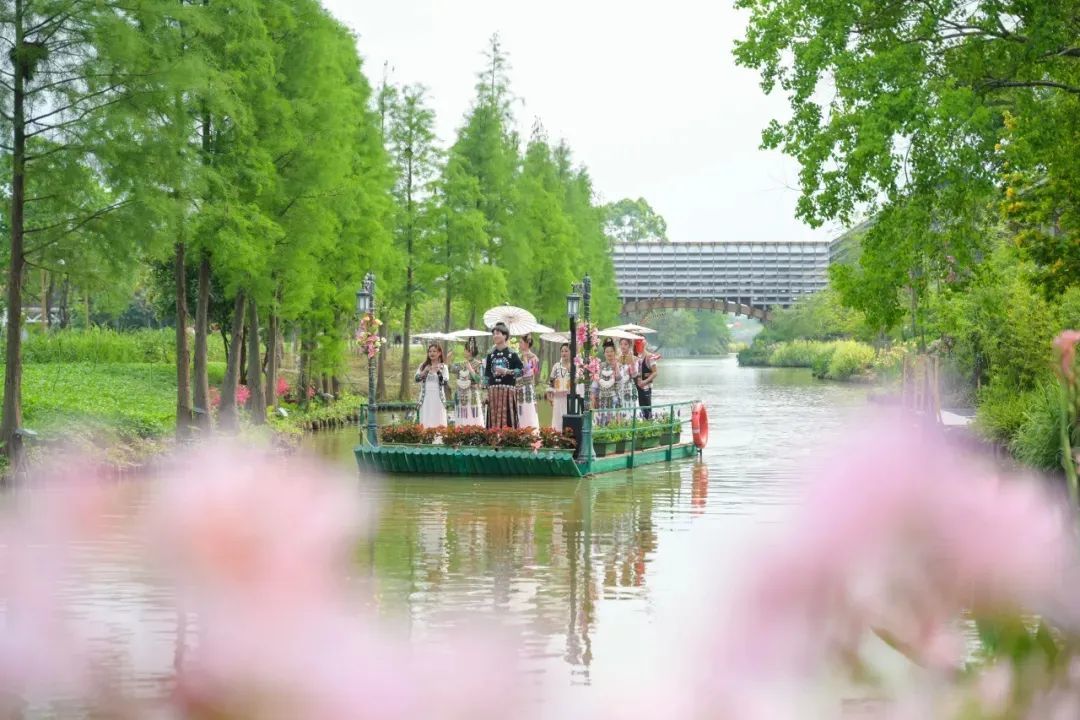 彭伟宗 摄