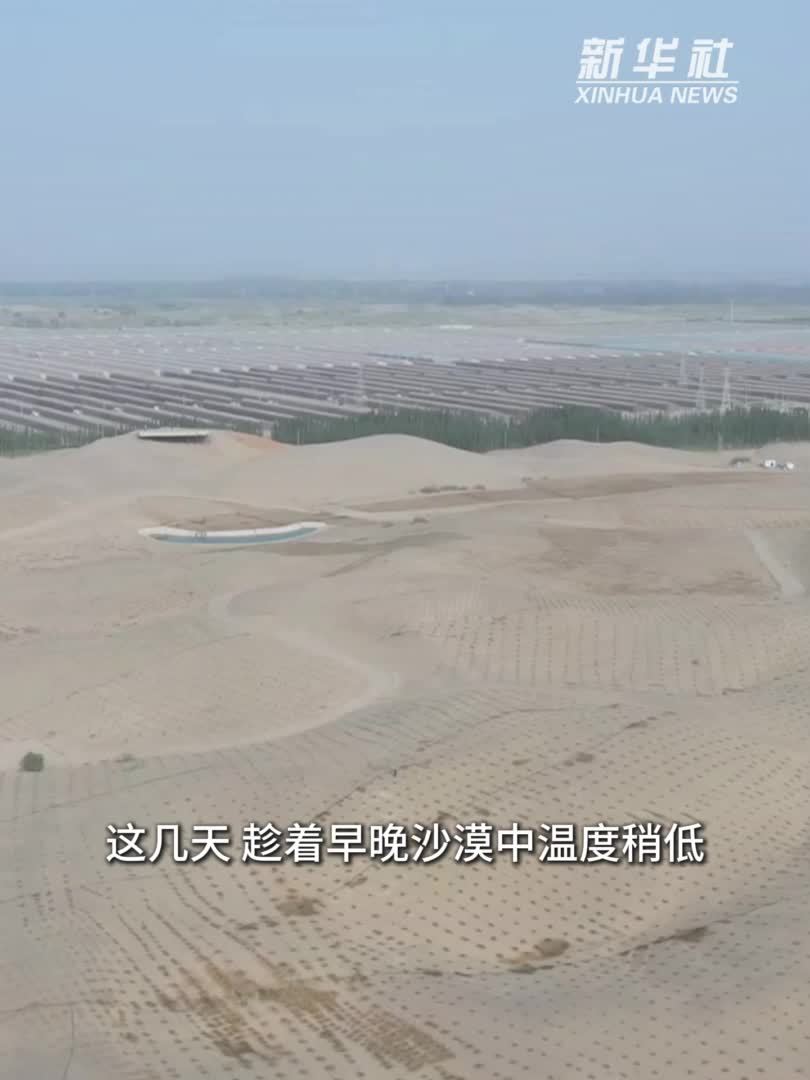 新疆和田县：探索建设综合防沙治沙体系