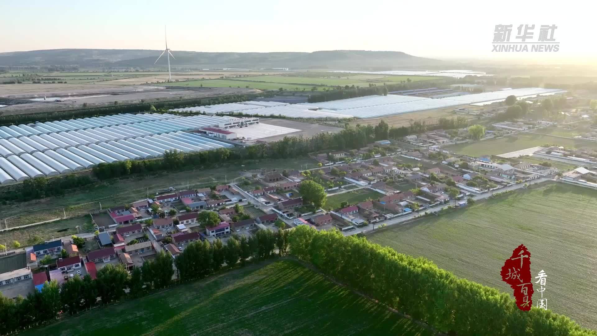 千城百县看中国｜内蒙古：沙土地里“种”出乡村振兴新图景