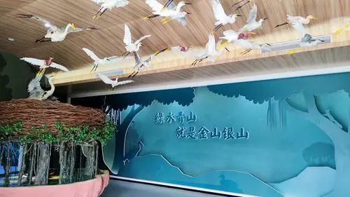 新会区正持续推进小鸟天堂高品质自然教育基地建设