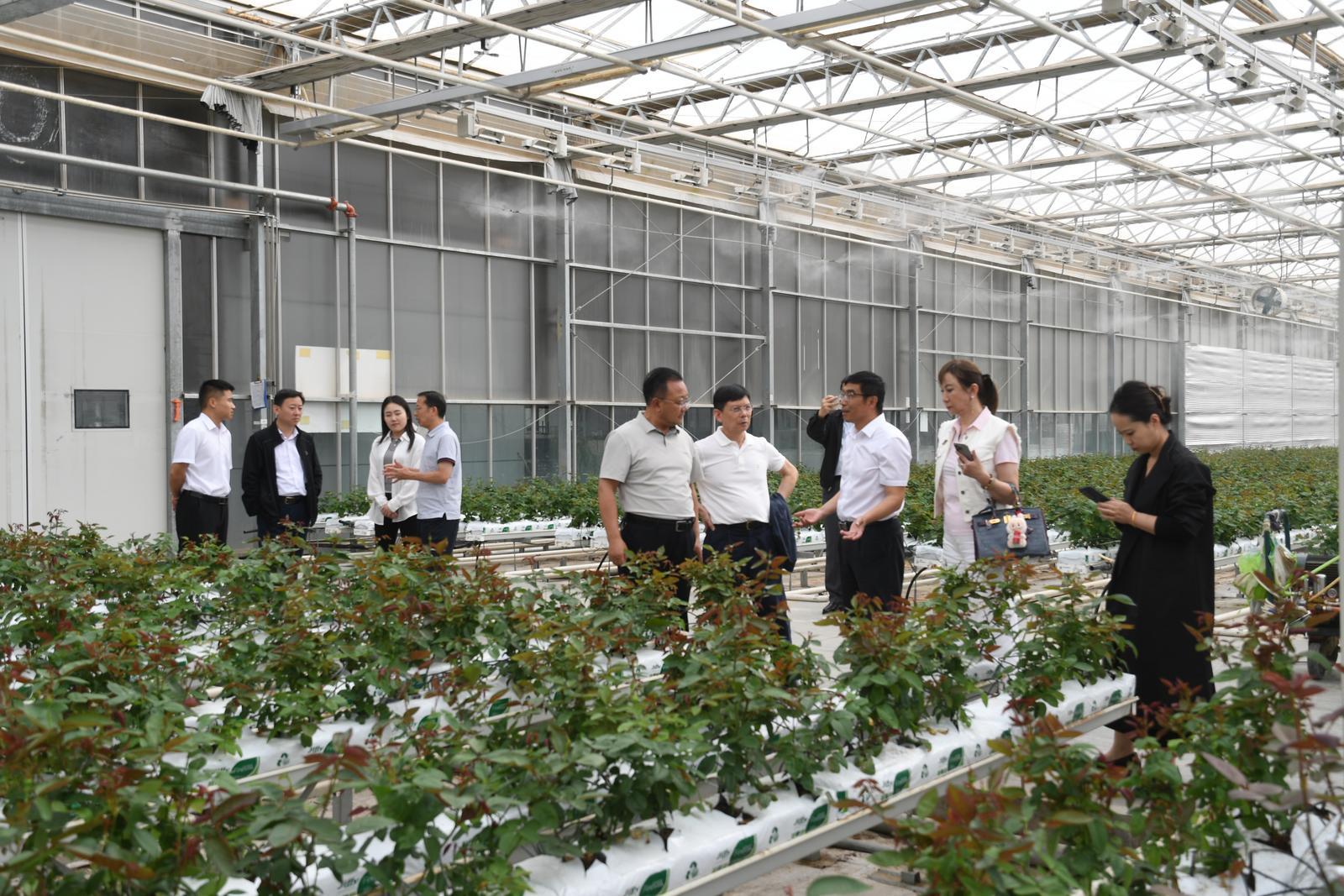 海内外考察团走进兰州新区　发现啥新机遇