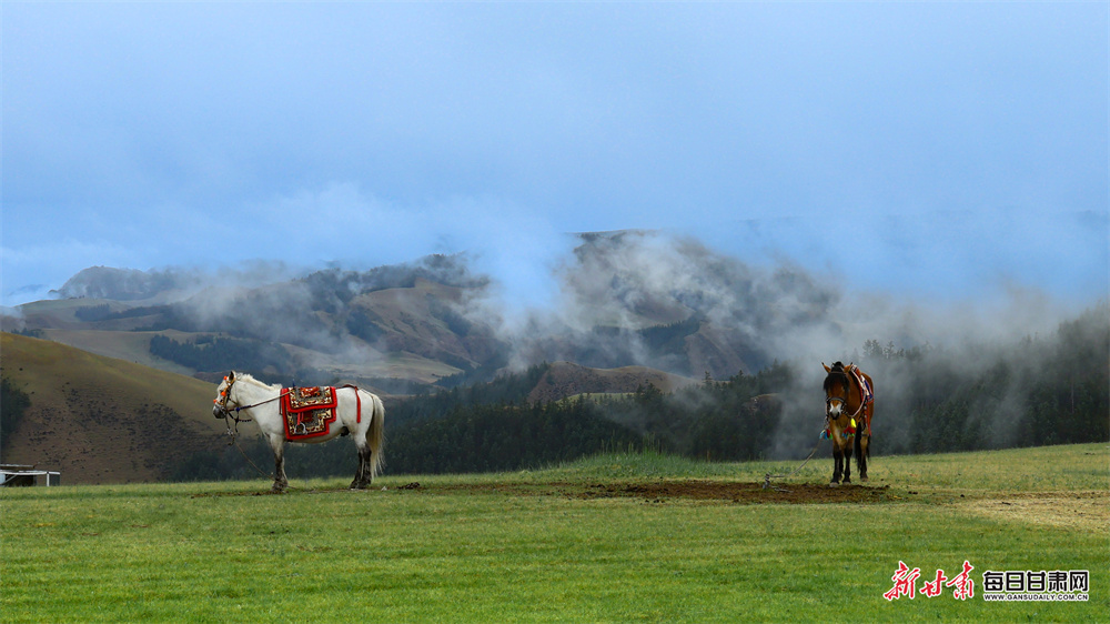肃南康乐草原迎来最美季