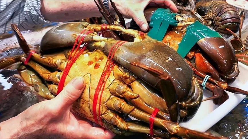 日本路边小吃 巨大泥蟹有两种做法 你吃过吗？