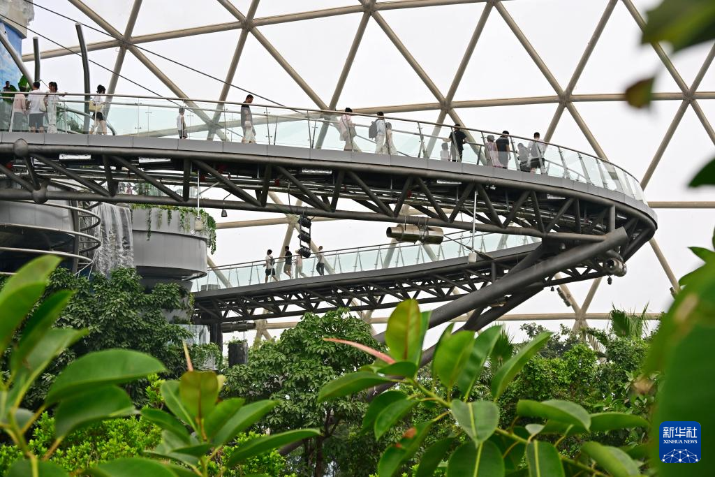 6月28日，游客在“风暴森林”景区体验天空步道。新华社记者 李紫恒 摄