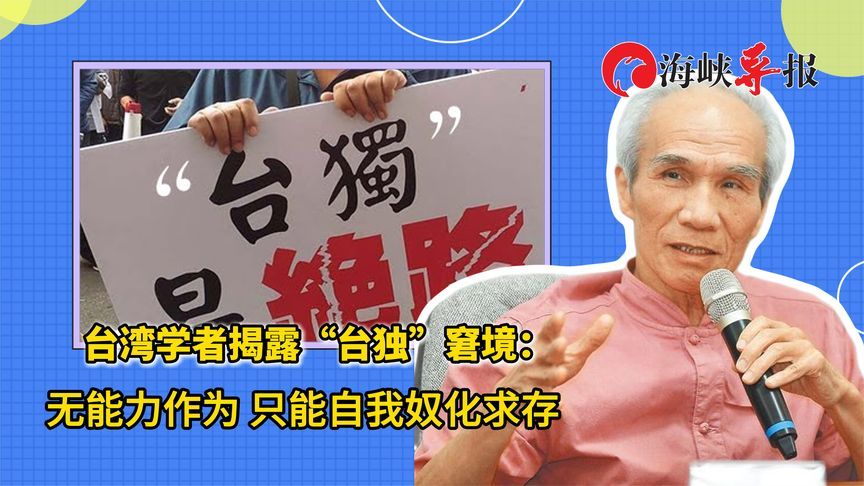 台湾学者揭露“台独”窘境：无能力作为，只能自我奴化求存