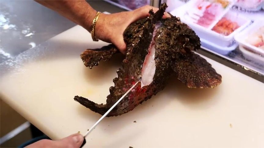 用一条奇怪的石头鱼，做成日式料理，看看味道如何