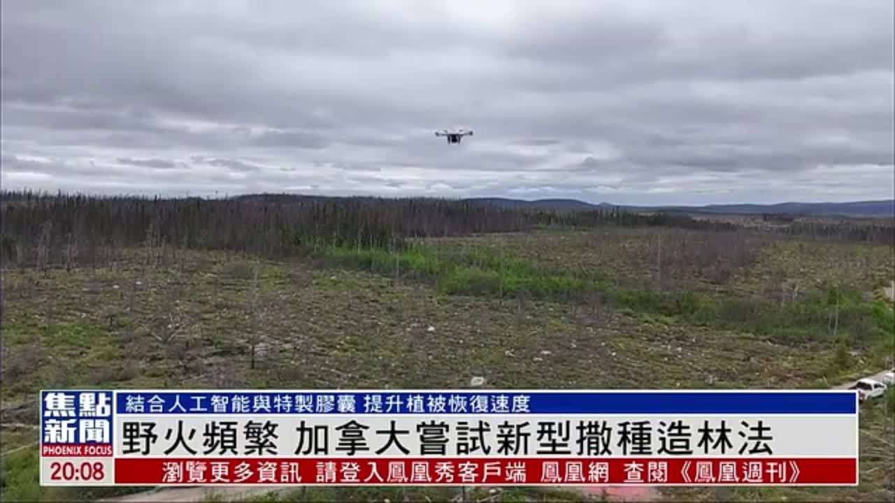 野火频繁 加拿大尝试新型撒种造林法