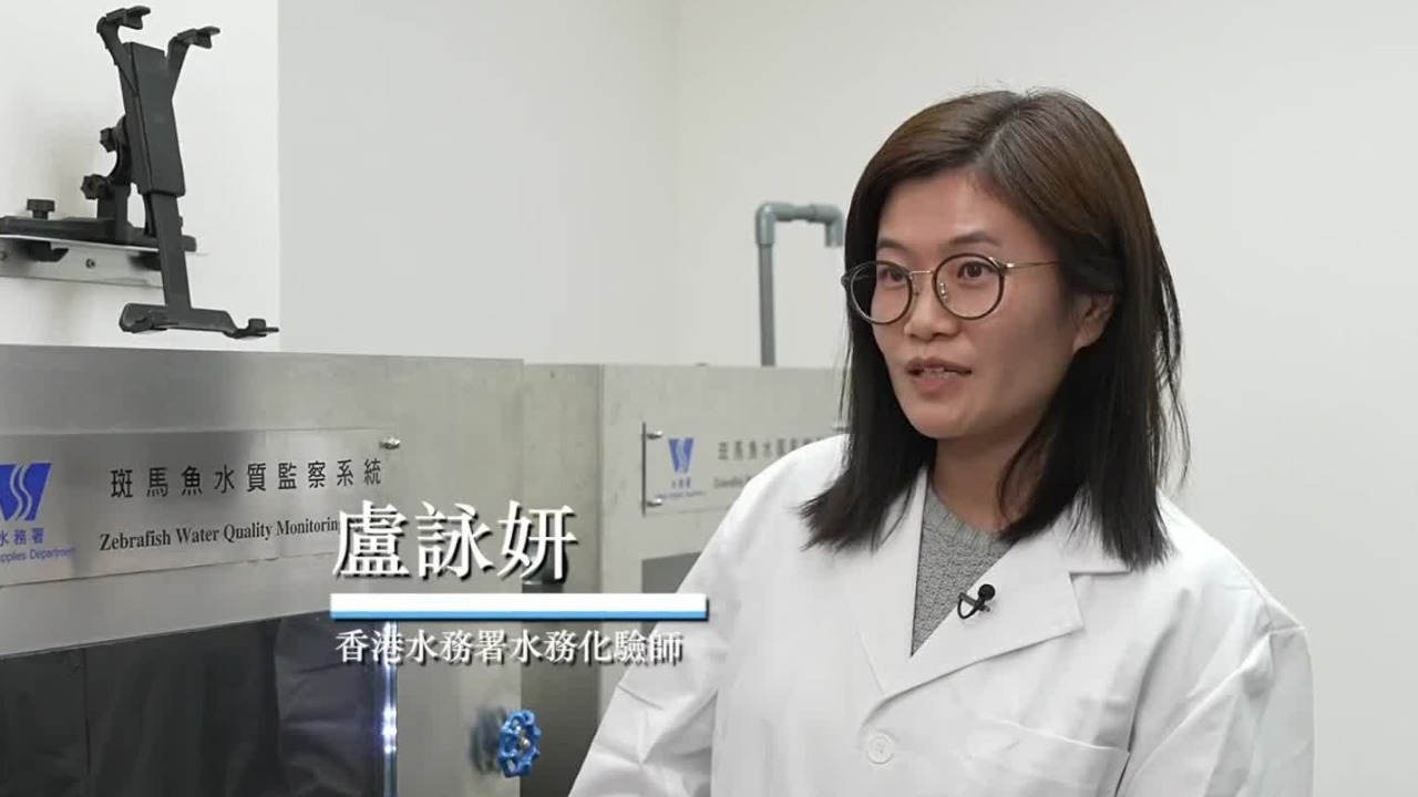 东江水一年流入香港8亿多立方米，约占全港食水来源的八成