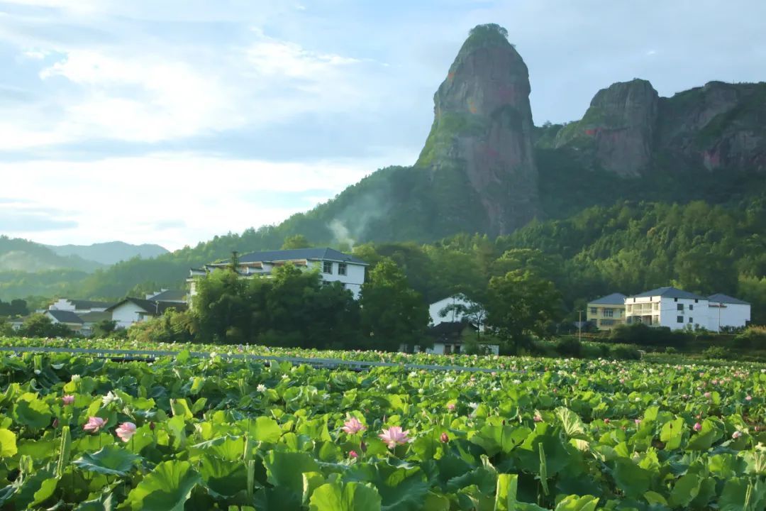 夏日的炽热渐渐弥漫