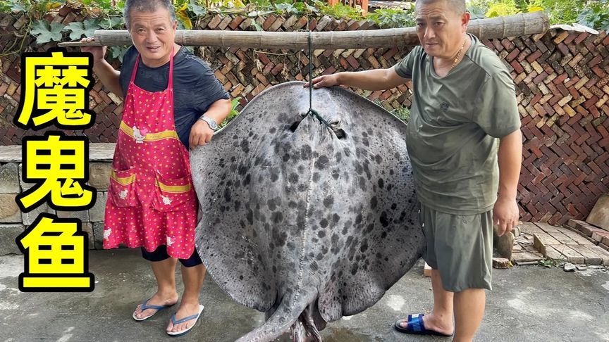 170斤重的魔鬼鱼可遇不可求，光这鱼肝就是超级美味