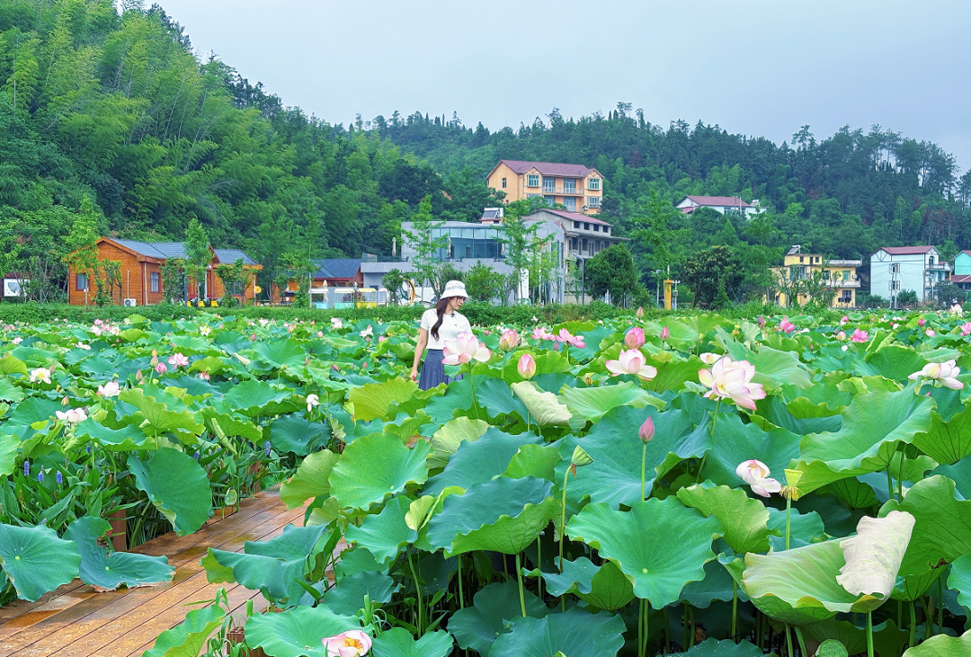 这个夏日