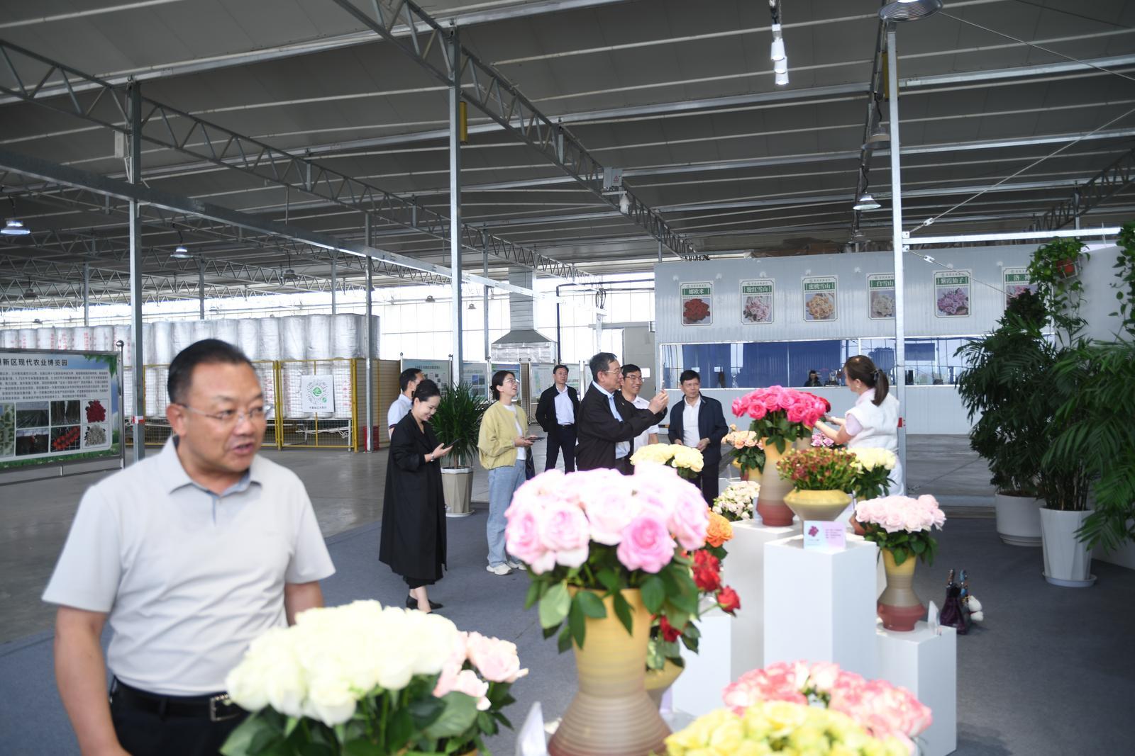海内外考察团走进兰州新区　发现啥新机遇