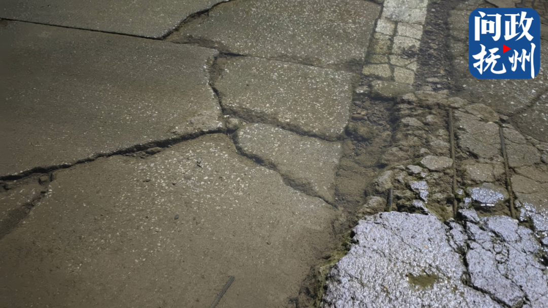 ▲图片由网友提供