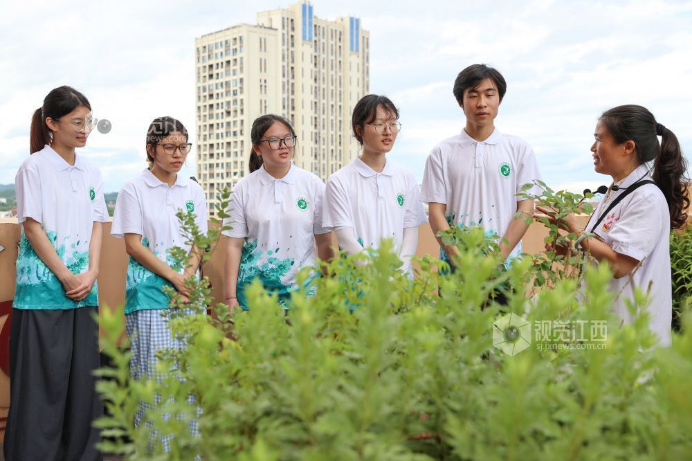 2025年7月1日，在江西省吉安市萬(wàn)安縣中醫(yī)院百草園，中醫(yī)專家正在給學(xué)生講解中醫(yī)藥知識(shí)。