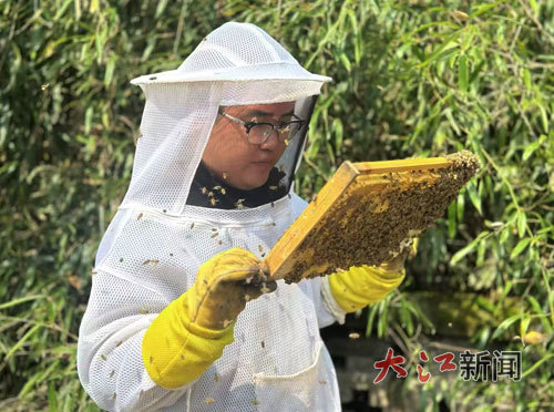 毛远翔回到家乡创办养蜂合作社 (受访人供图)