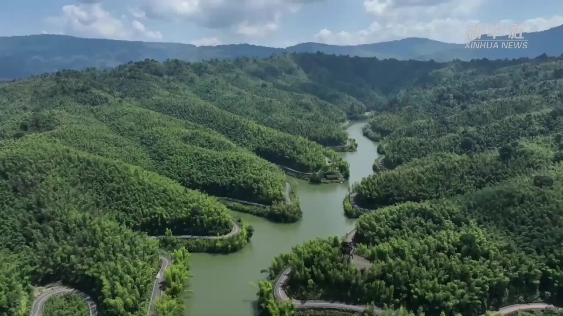 生态文明新图景｜“以竹代塑”的绿色密码：一根翠竹撬动大产业