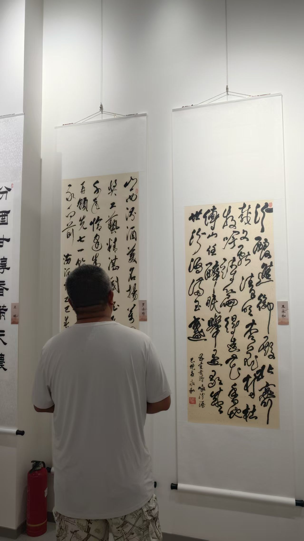书画爱好者欣赏书画作品