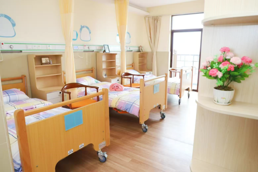 新会逐浪银发经济蓝海 打造湾区康养新高地