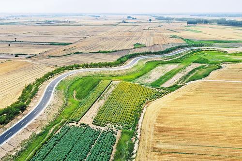 6月18日航拍的子牙河堤顶路。本报记者 戴绍志摄