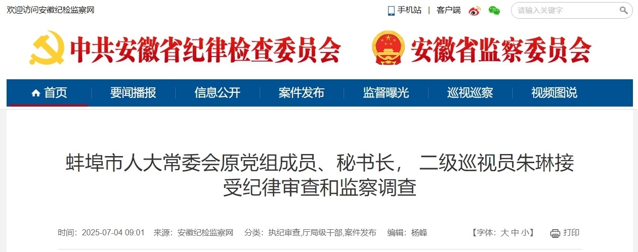蚌埠市人大常委会原党组成员、秘书长，二级巡视员朱琳被查