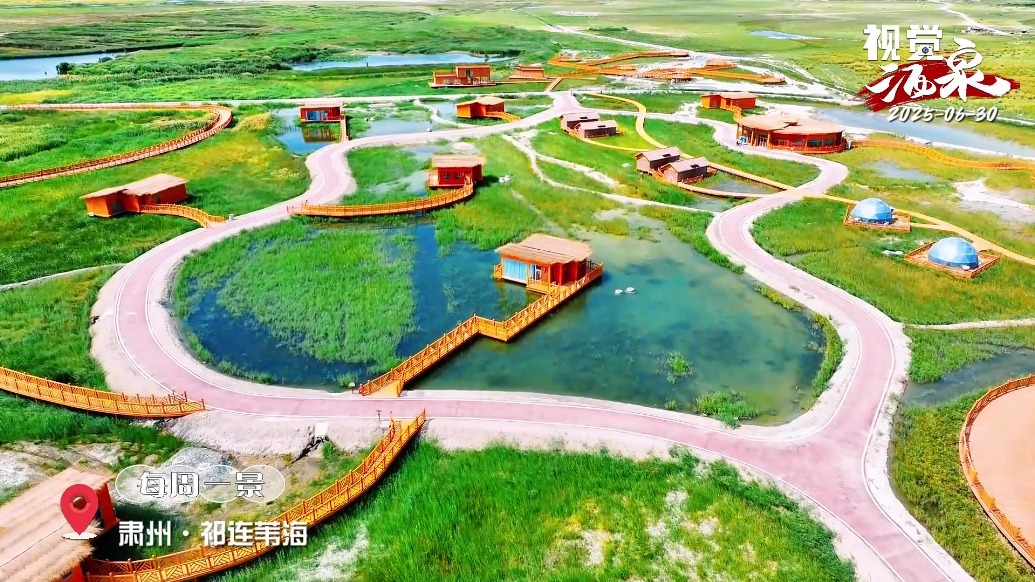 爱上祁连苇海，大约在夏季……