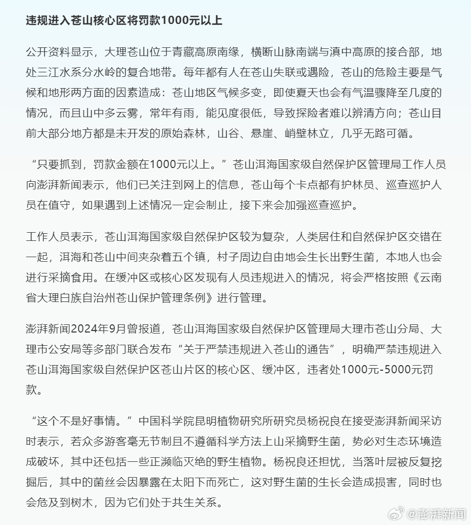 大理野生菌被指遭游客掠夺式采摘:有人掘地三尺找菌子