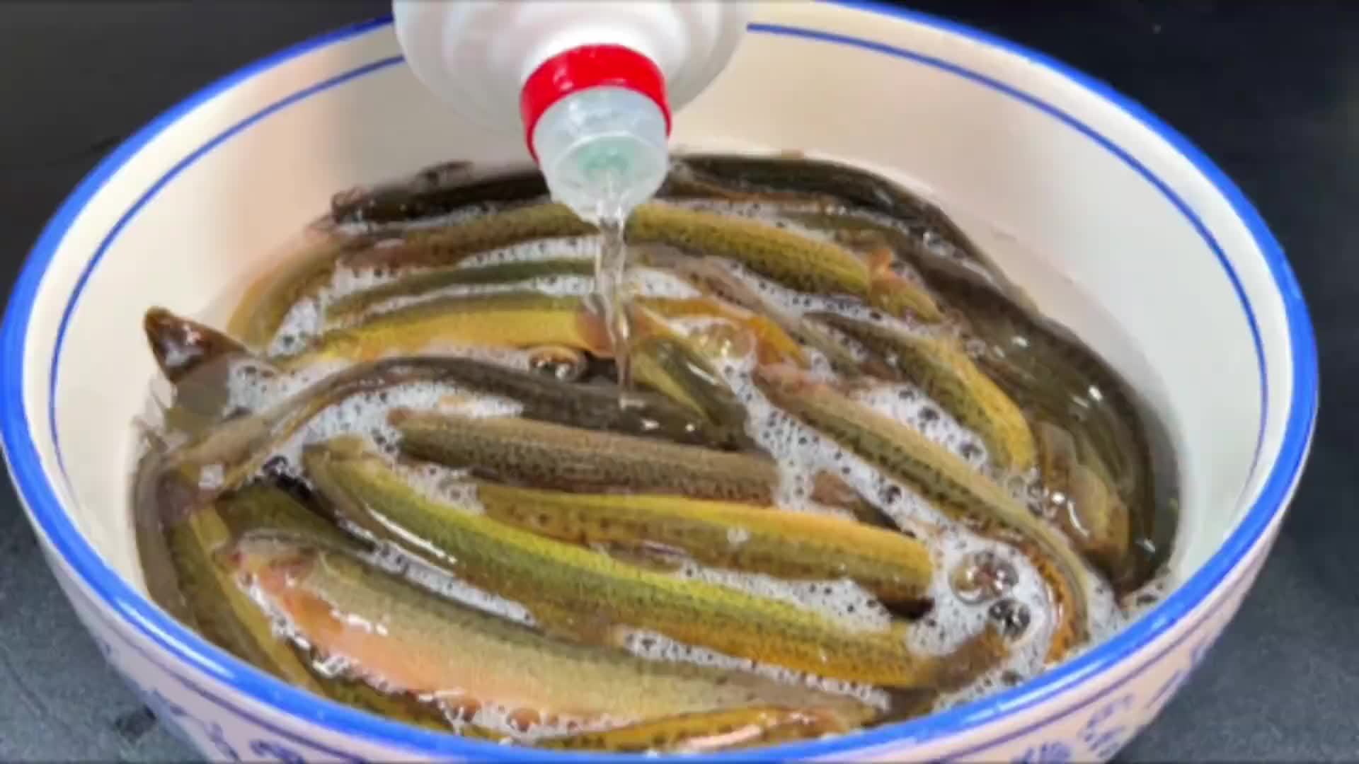 把高度白酒倒进泥鳅中，饭店大厨的拿手绝活