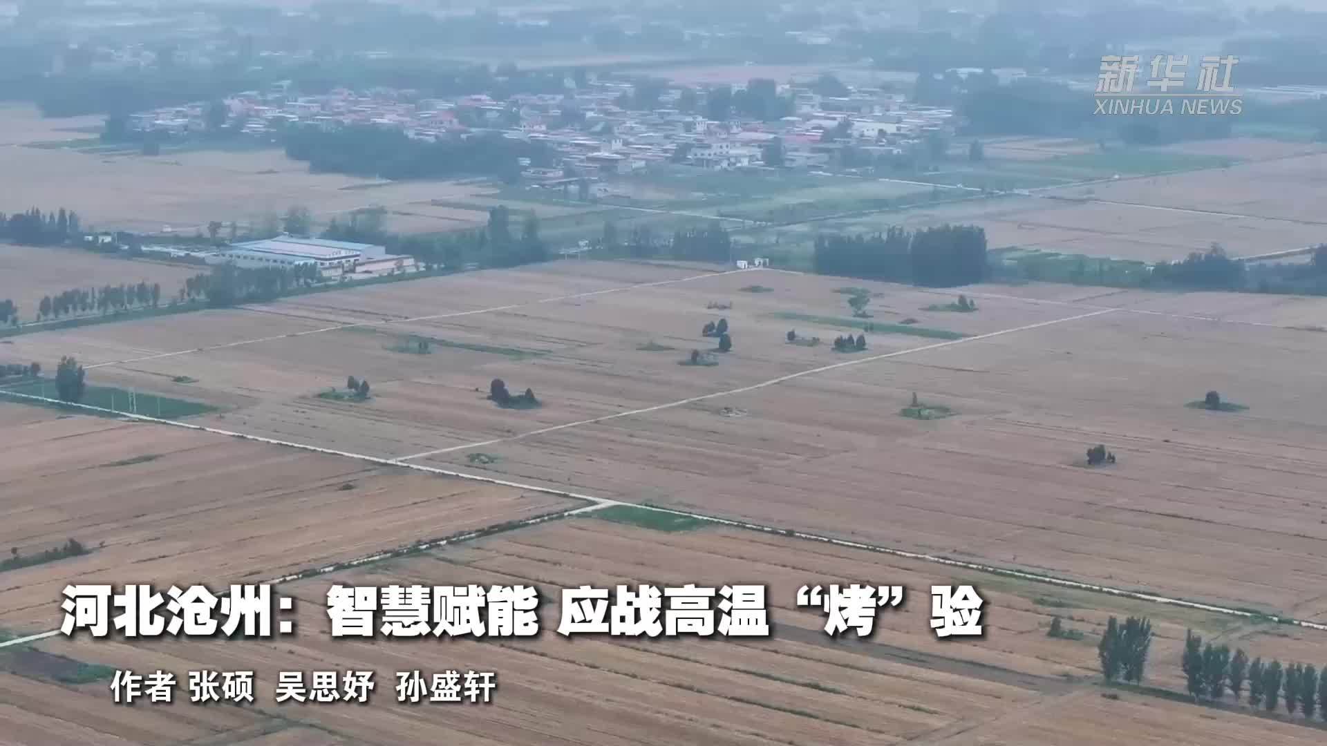 河北沧州：智慧赋能 应战高温“烤”验