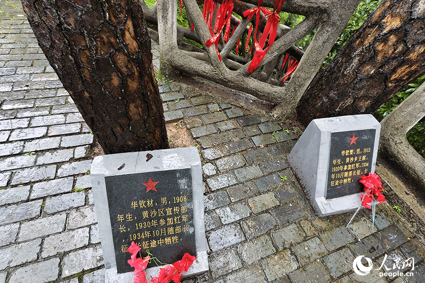 青松前的石碑。人民網(wǎng)記者 時雨攝