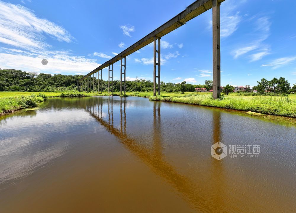 6月27日，江西省吉安市泰和縣上模鄉油洲村高架引水工程橫跨金色田園，為水稻灌溉輸送源源不斷的生態活水，保障糧食豐產豐收?！叭摹鞭r忙時節，江西泰和縣供電公司科學調度電力配置，優先保障農業灌溉引水工程用電需求，助力早稻糧食生產。