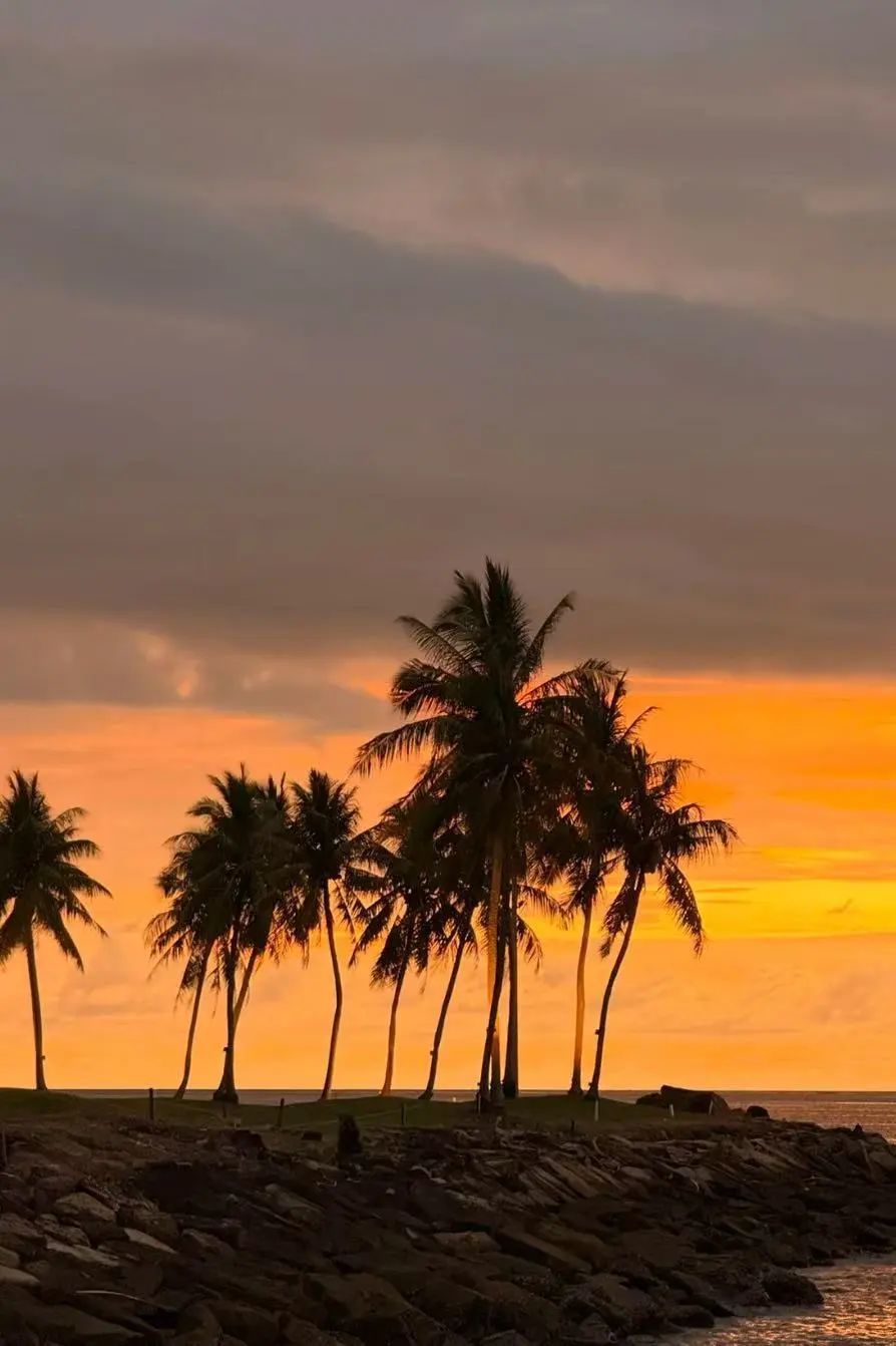 永久免签+直飞！对国人超友好，轻松实现海岛自由+榴莲自由！