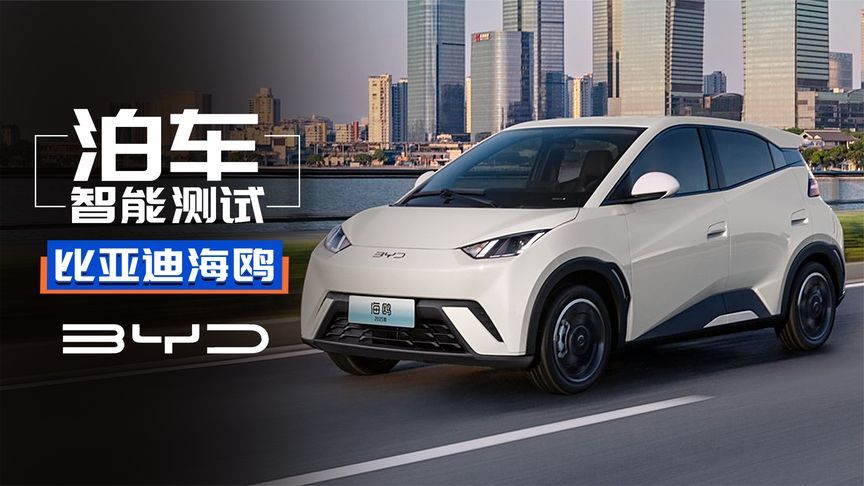 最低不到8万！海鸥智驾版泊车好用吗？