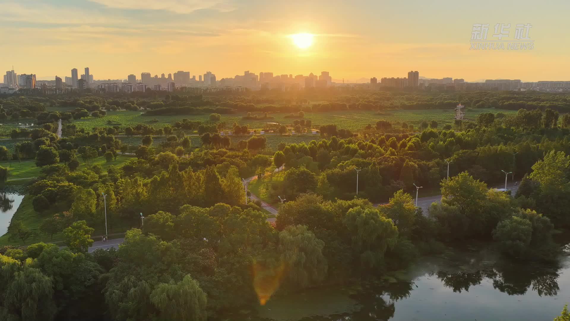 安徽池州：城市绿洲鸟蹁跹