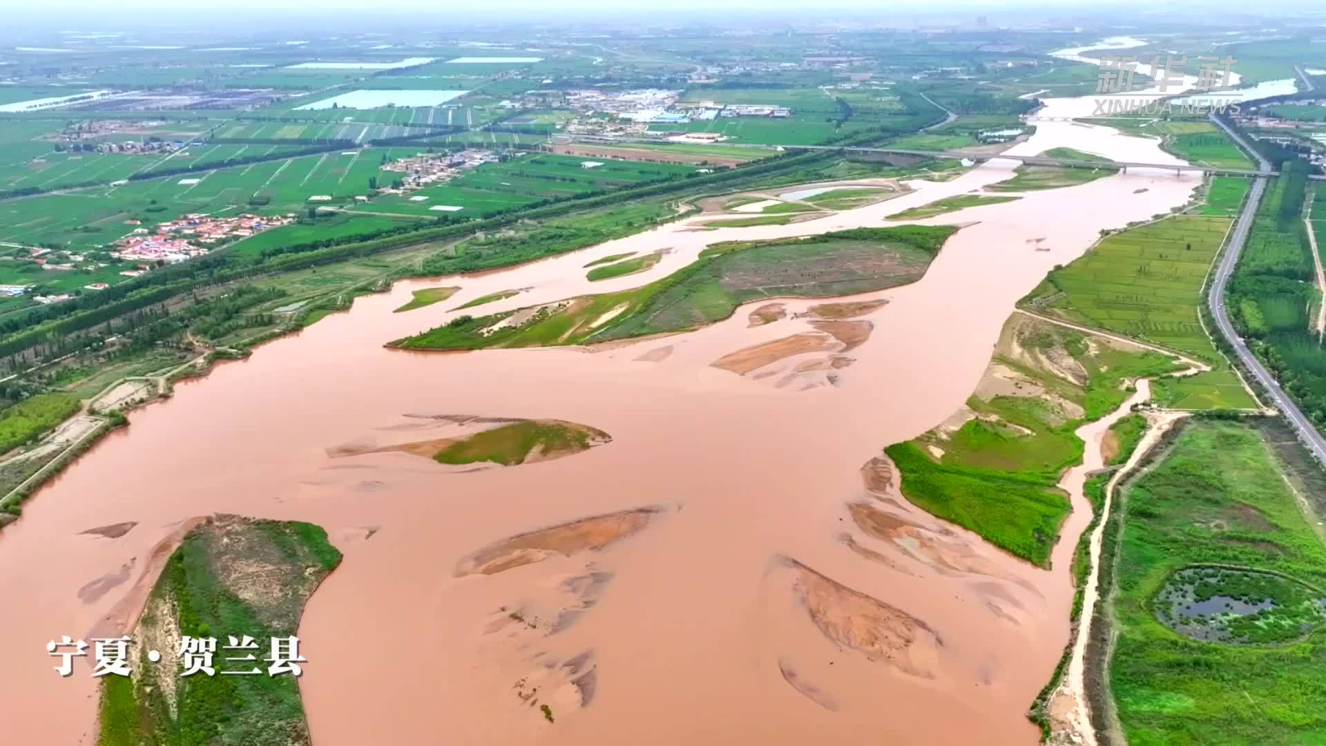 从塞上江南到香江之畔—— 一棵蔬菜的绿色之旅