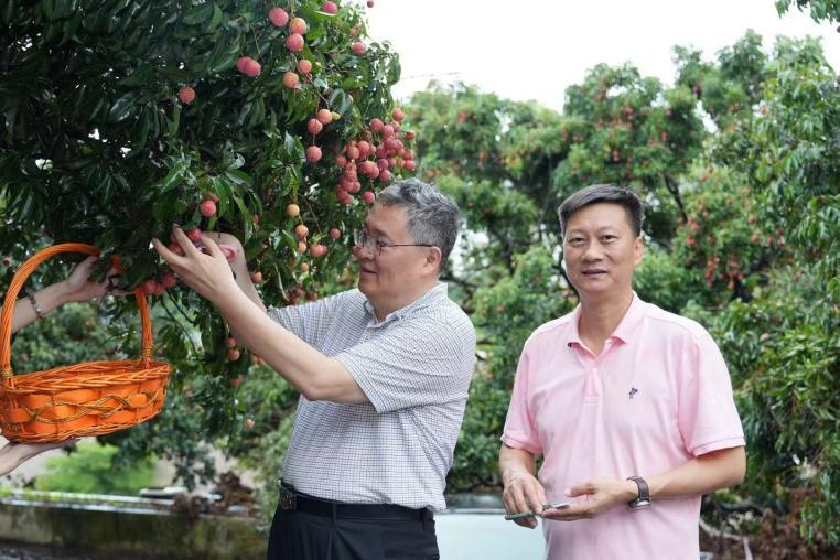 左：国际植物新品种保护联盟理事会主席、中国种子协会副会长崔野韩；右：深圳黄田股份公司董事长、黄田农业发展有限公司董事长、黄田荔枝协会会长阮忠敢