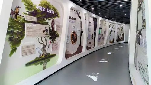 小鸟天堂生态体验馆融入了光影、动画以及互动装置