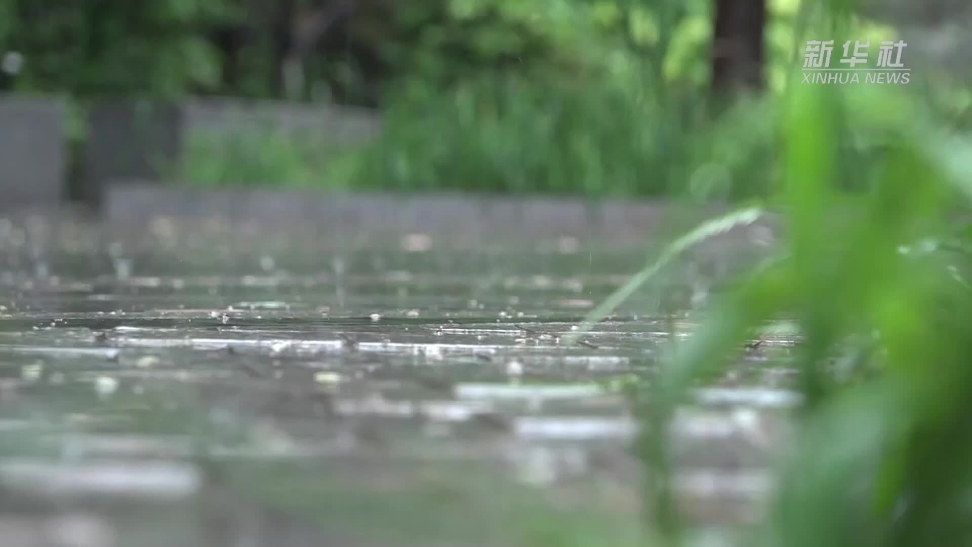 微纪录片丨风雨中的城市守护者