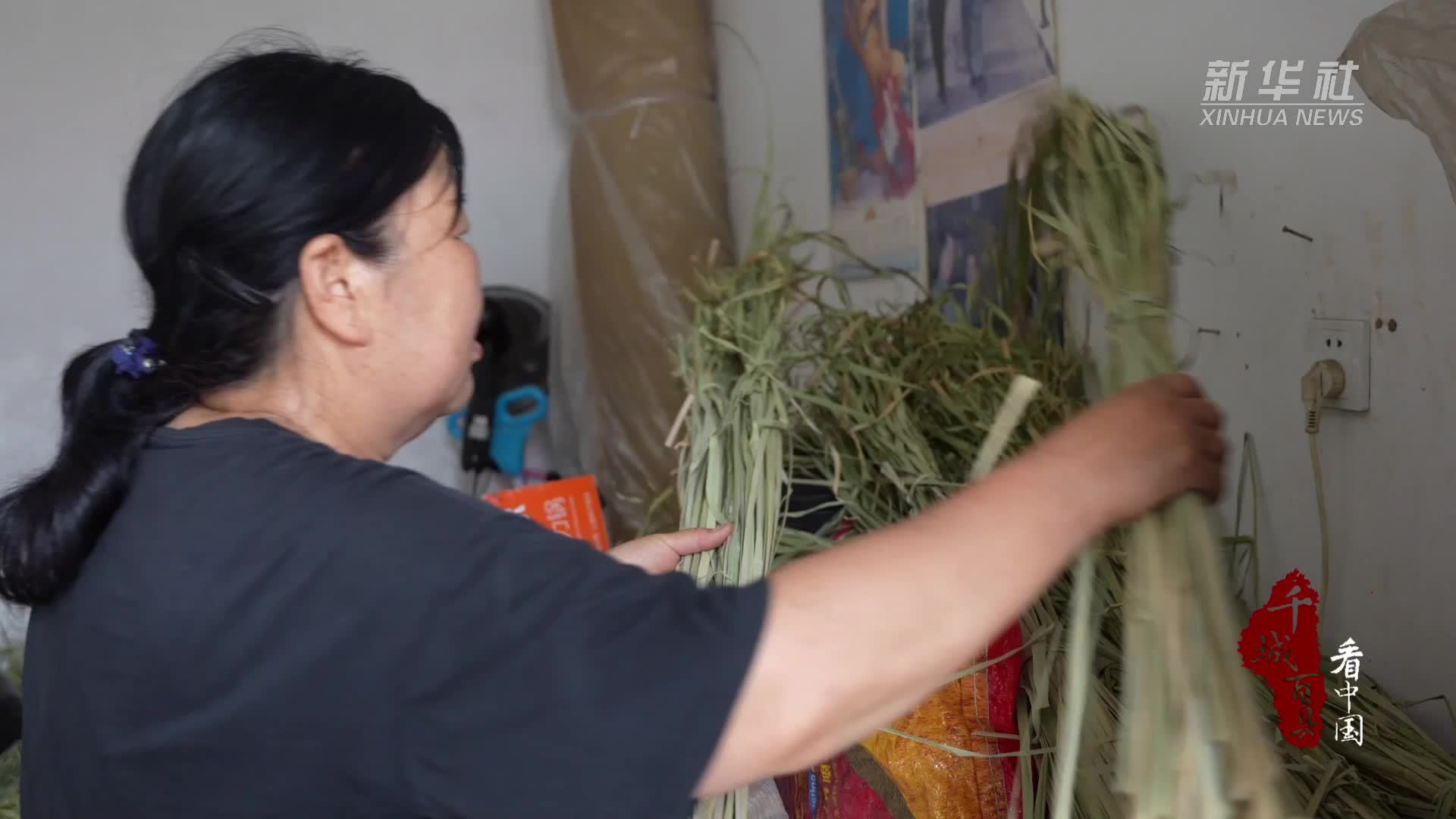 千城百县看中国｜河北徐水：玉米皮编织 巧手传承乡土技艺