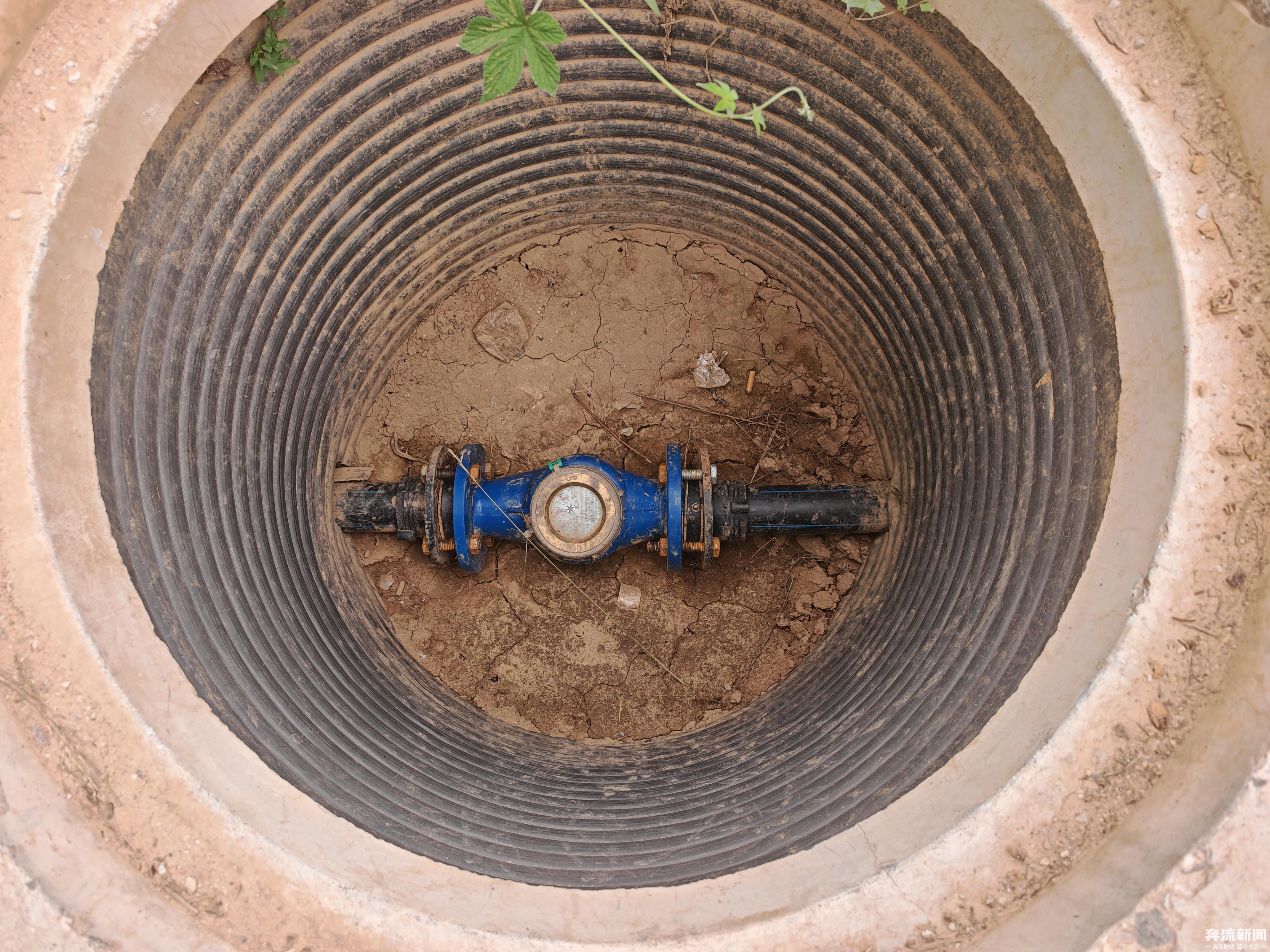 合作社涉嫌违约　菜农90座大棚遭断水几近绝收