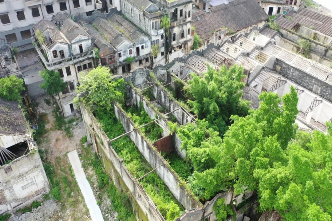 “圩地横街十五间”修缮前