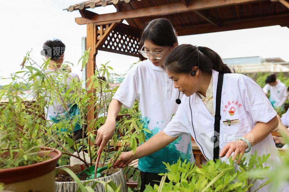 2025年7月1日，在江西省吉安市萬(wàn)安縣中醫(yī)院百草園，中醫(yī)專家正在教學(xué)生中草藥種植要領(lǐng)。